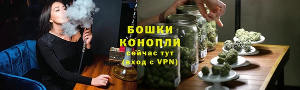 стаф Анива
