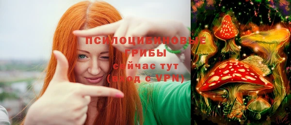 стаф Анива